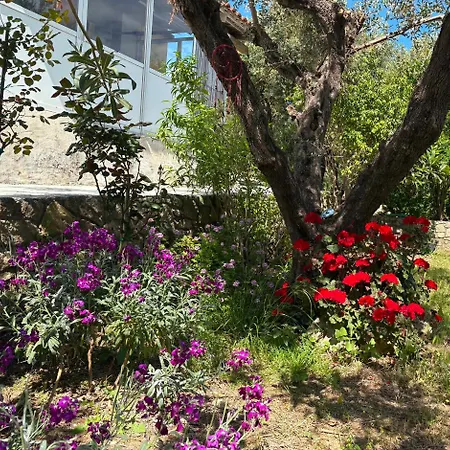 Casa Di Nonno Ferienhaus Alykanas (Zakynthos)